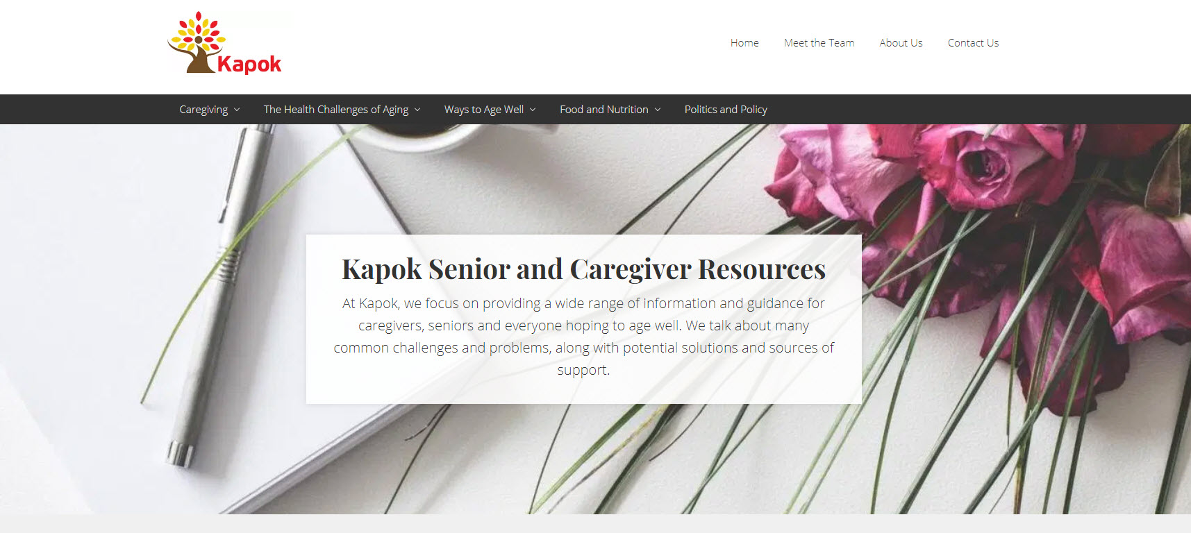My Portfolio - Casper Green Web Services